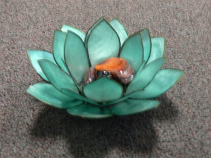 Lotus with crystals